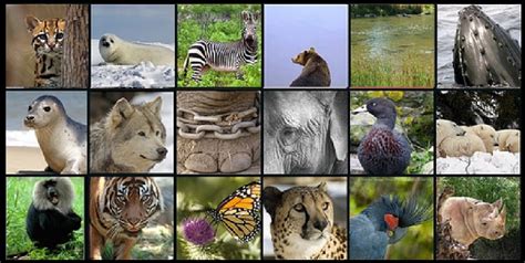 Dünyada nesli tükenmiş hayvanlar listesi